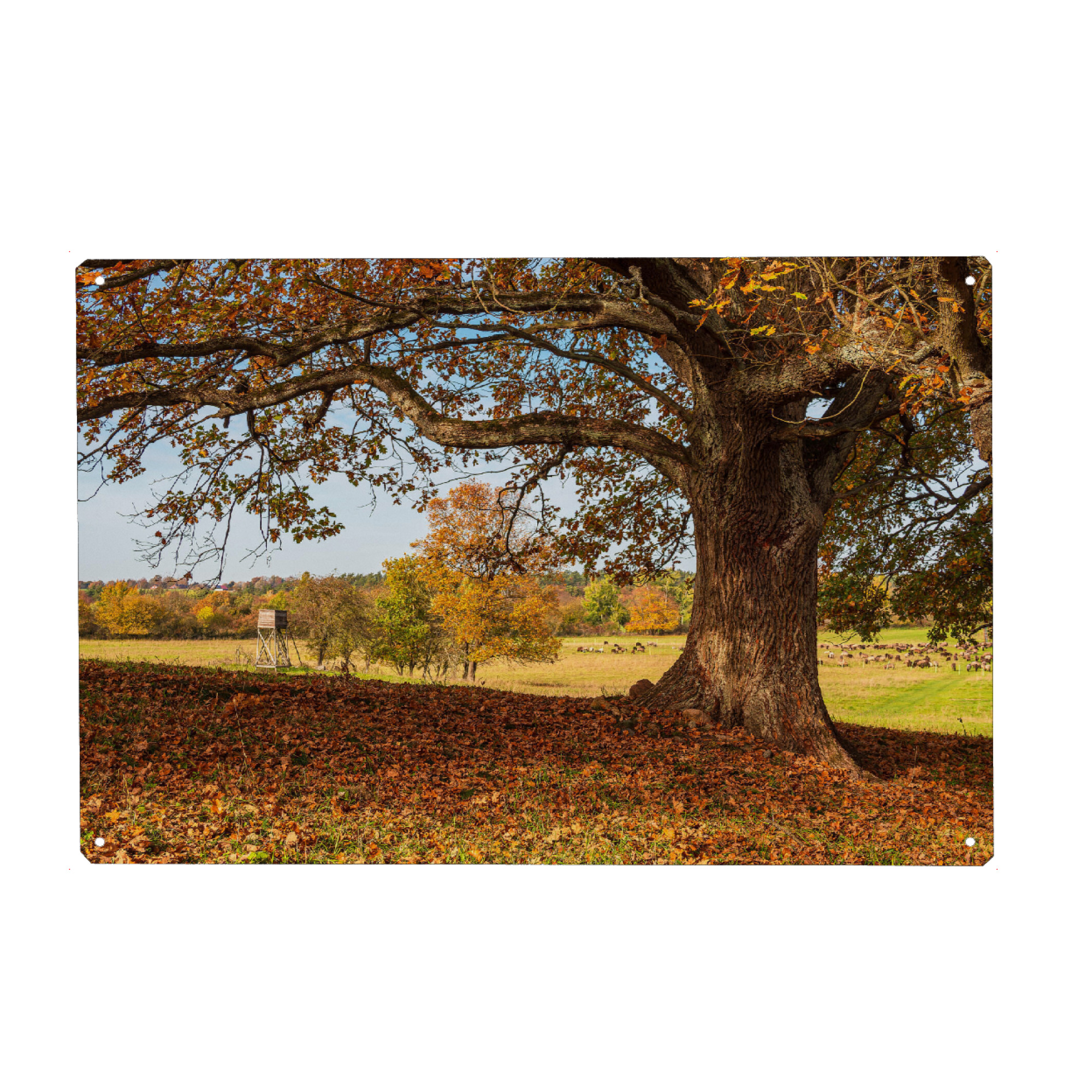 Holzbild "Laub, Herbst, Baum" artboxONE - Natur,Reise