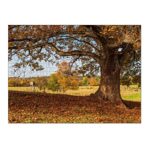 Puzzle Ravensburger "Laub, Herbst, Baum" artboxONE - Natur,Reise