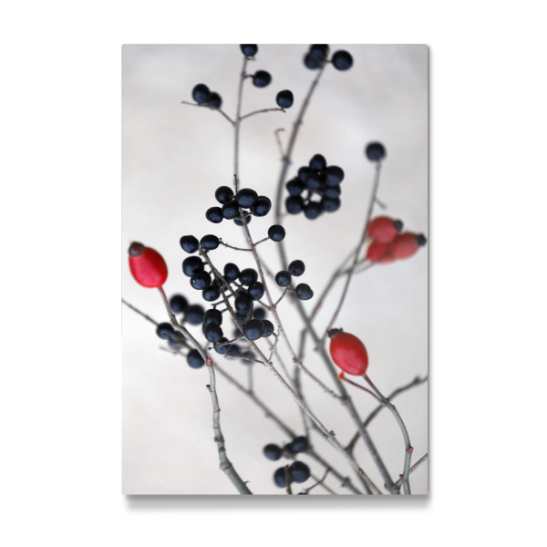 Galerie-Print "Wildbeeren schwarz-rot" 30x20 cm artboxONE
