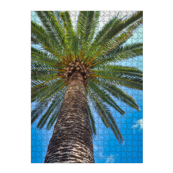 artboxONE Puzzle "Palmen Stilleben" artboxONE - Natur,Reise / Strand und Meer - Palme,Palm tree,Baum,Himmel,Blauer himmel - Bild palme