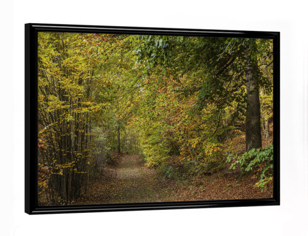 Poster mit schwarzem Rahmen "Weg, Laub, Wald" artboxONE - Natur,Reise