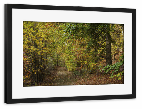 Poster mit Rahmen schwarz "Weg, Laub, Wald" artboxONE - Natur,Reise