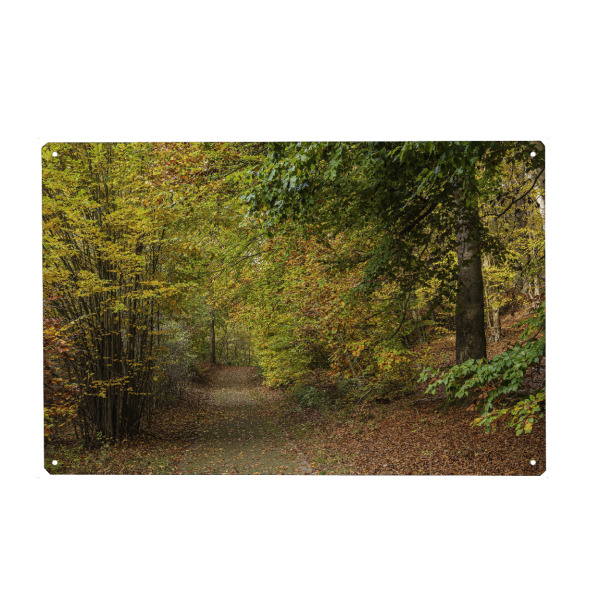 Holzbild "Weg, Laub, Wald" artboxONE - Natur,Reise