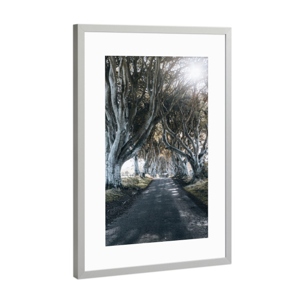 Poster mit Rahmen Silber "The Dark Hedges" artboxONE - Natur,Reise,Film,Reise / Länder - Wood,Wald,Thedarkhedges,Road,Straße,Nature,Natur