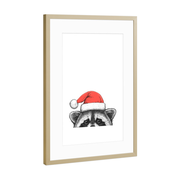 Poster mit Rahmen Gold "Waschbär in Weihnachtsmütze" artboxONE - Tiere,Weihnachten
