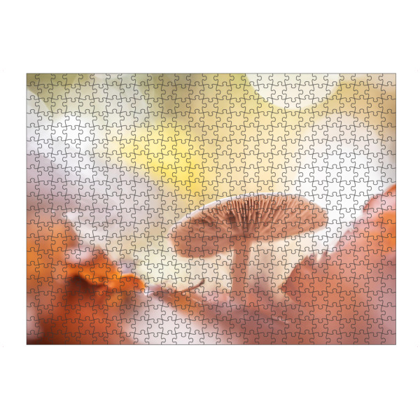 Puzzle Ravensburger "Herbstpilz" artboxONE - Natur