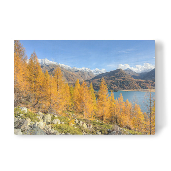 Leinwandbild "Herbst am Silsersee im Engadin" artboxONE - Natur,Reise,Reise / Länder