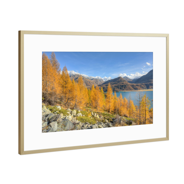 Poster mit Rahmen Gold "Herbst am Silsersee im Engadin" artboxONE - Natur,Reise,Reise / Länder