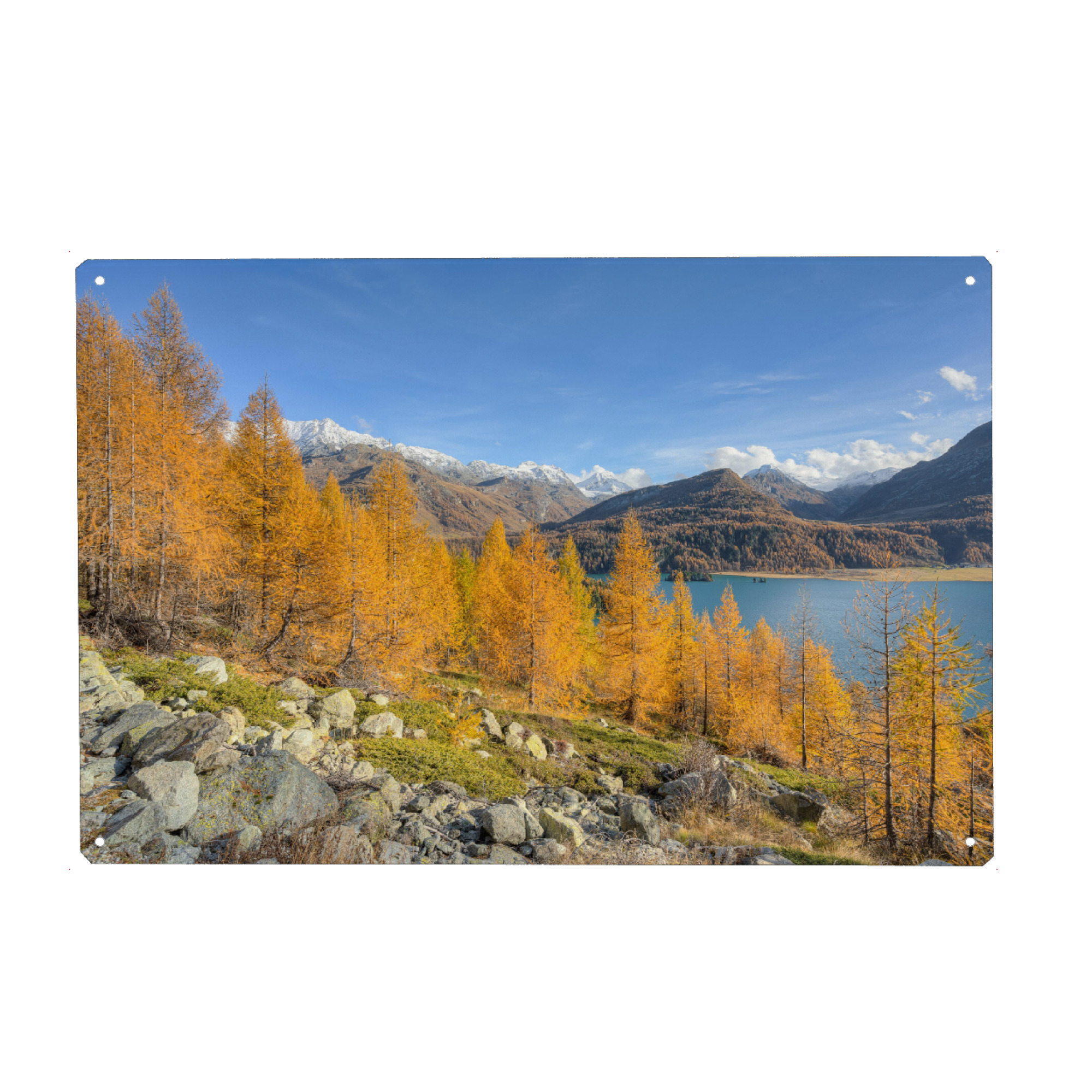 Metall Poster "Herbst am Silsersee im Engadin" artboxONE - Natur,Reise,Reise / Länder