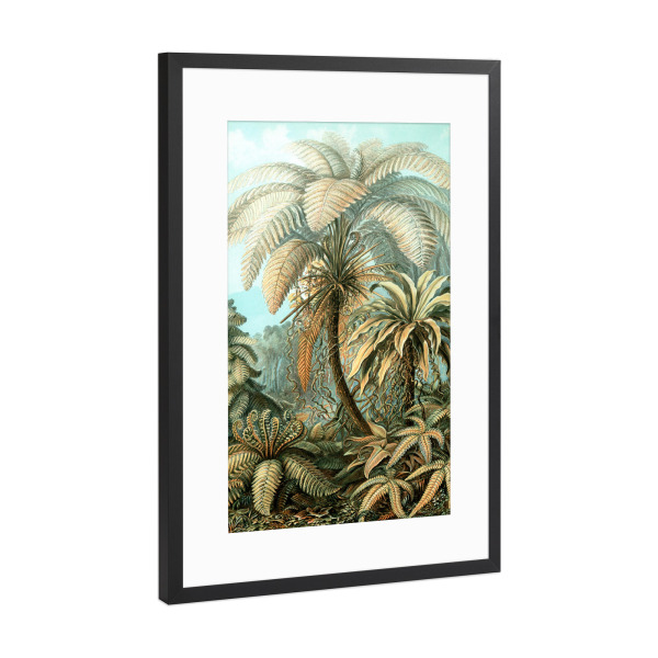 Poster mit Rahmen Schwarz (Metallic) "Filicinae" artboxONE - Natur,Floral,Für Mama,Für Papa