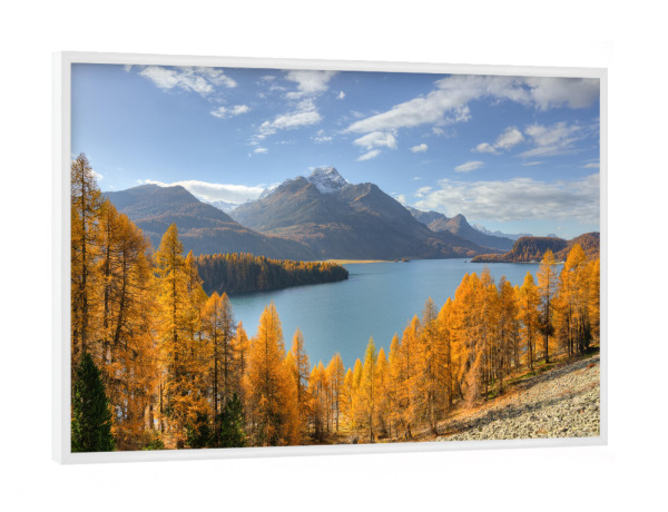 Poster mit weißem Rahmen "Herbsttag am Silsersee im Engadin" artboxONE - Natur,Reise,Reise / Länder