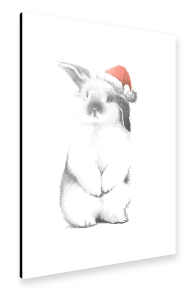 Alu-Dibond "Kaninchen in einem Sankt-Hut" 30x20 cm artboxONE