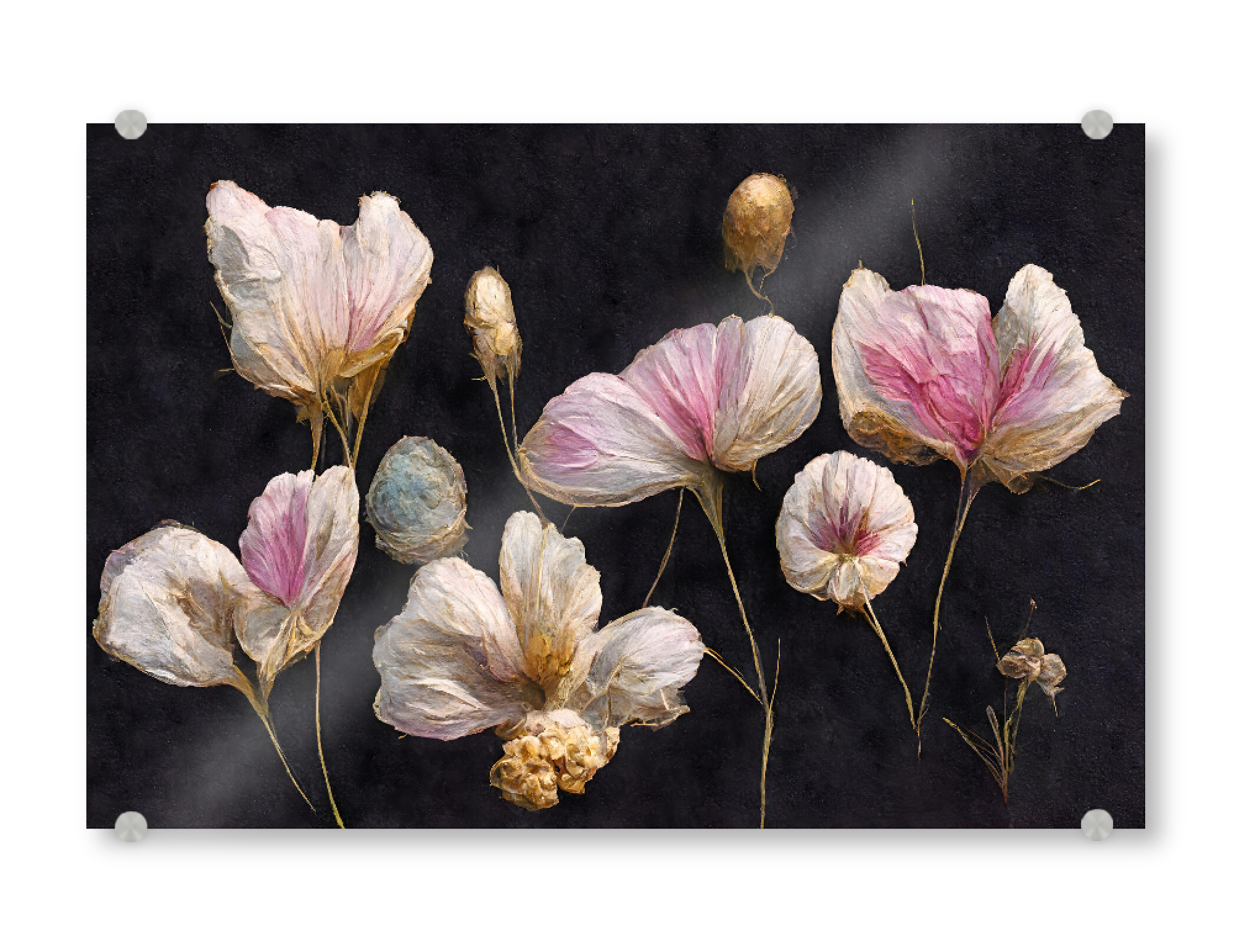 Acrylglasbild "Light Pink Dry Flowers" artboxONE - Natur,Floral,Abstrakt - Blume,Blumen,Filigran,Trocken blumen,Trockenblumen,Floral,Treechild