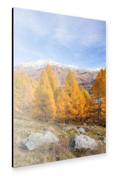 Alu-Dibond "Herbst im Engadin in der Schweiz" 30x20 cm artboxONE