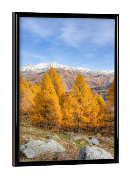 Poster mit schwarzem Rahmen "Herbst im Engadin in der Schweiz" artboxONE - Natur,Reise,Reise / Länder