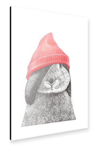 Alu-Dibond "Kaninchen in einem roten Hut" 30x20 cm artboxONE