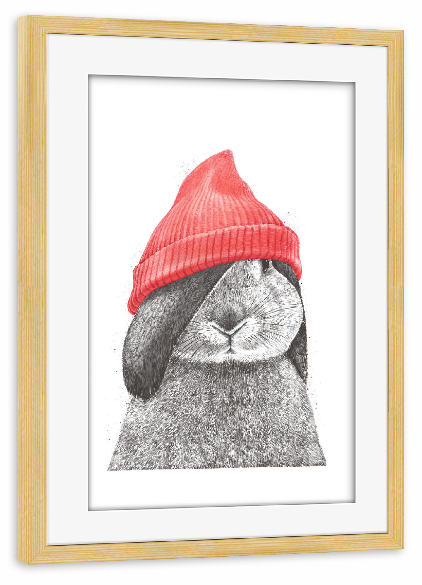 Poster mit Rahmen kiefer "Kaninchen in einem roten Hut" artboxONE - Tiere,Lustig
