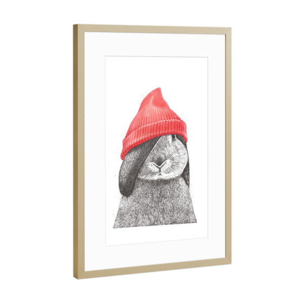 Poster mit Rahmen Gold "Kaninchen in einem roten Hut" artboxONE - Tiere,Lustig