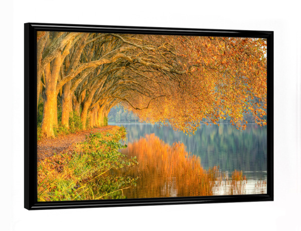 Poster mit schwarzem Rahmen "Herbst am Baldeneysee in Essen" artboxONE - Natur,Reise