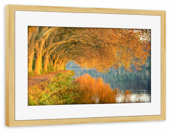 Poster mit Rahmen kiefer "Herbst am Baldeneysee in Essen" artboxONE - Natur,Reise