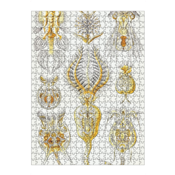 artboxONE Puzzle "Rotatorien" artboxONE - Natur,Tiere