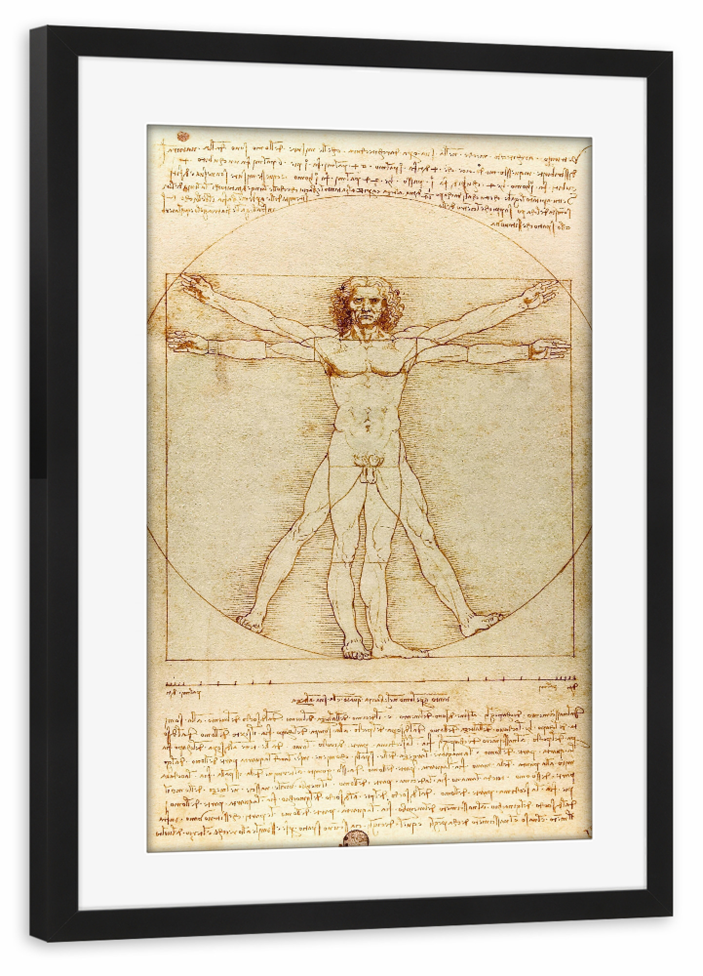 Poster mit Rahmen schwarz "Vitruvianischer Mensch" artboxONE - Natur,Männer