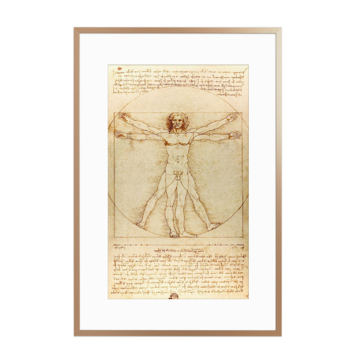 Vitruvian Man