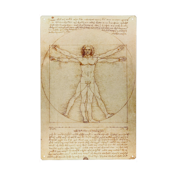 Metall Poster "Vitruvianischer Mensch" artboxONE - Natur,Männer