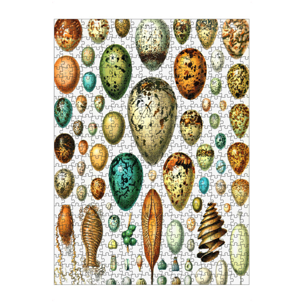 artboxONE Puzzle "Oeufs" artboxONE - Natur,Für Kinder,Tiere,Für Mama,Für Papa