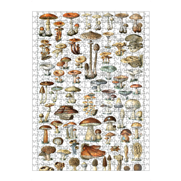 Puzzle Ravensburger "Champignons" artboxONE - Typografie,Natur,Für Kinder,Für Mama,Für Papa