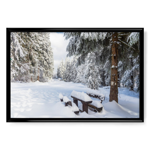 Snow, bench, trees