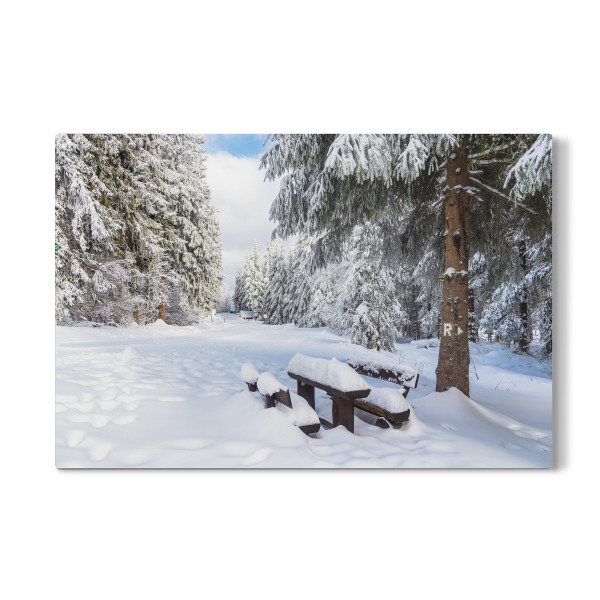 Galerie-Print "Schnee, Sitzbank, Bäume" 30x20 cm artboxONE