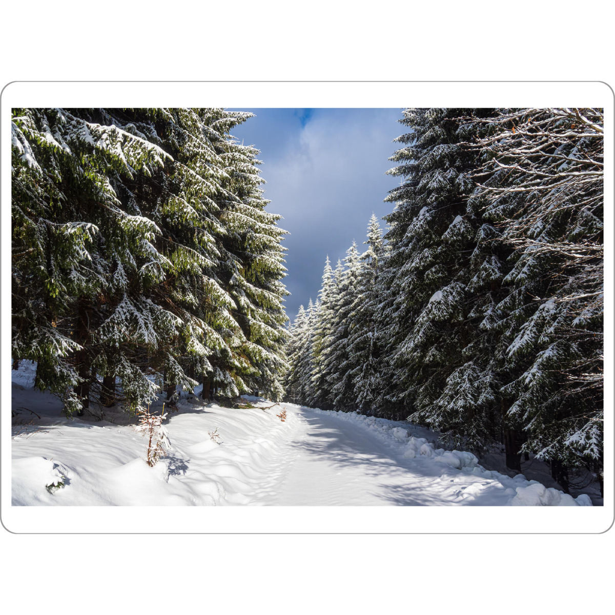 Tischset "Schnee, Weg, Wald, Wolken" artboxONE - Natur,Reise