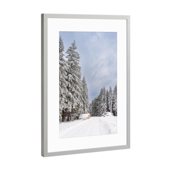 Poster mit Rahmen Silber "Holzstapel, Weg und Wald" artboxONE - Natur,Reise