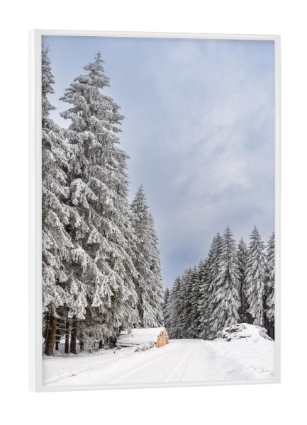 Poster mit weißem Rahmen "Holzstapel, Weg und Wald" artboxONE - Natur,Reise