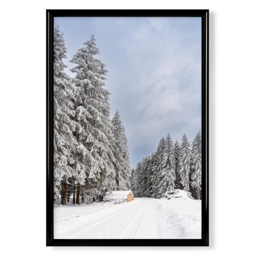 Holzstapel, Weg und Wald Holzstapel, Weg und Wald