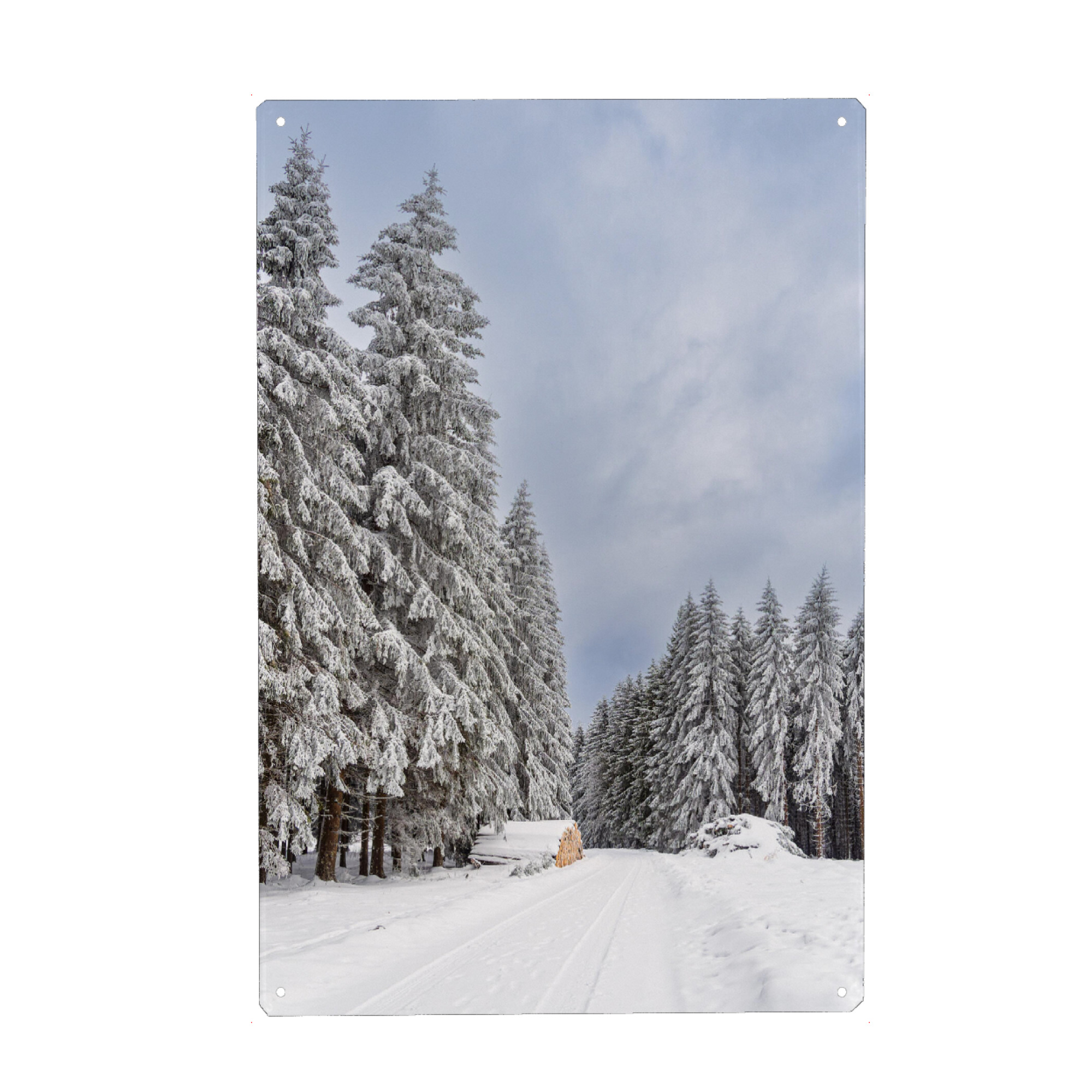 Metall Poster "Holzstapel, Weg und Wald" artboxONE - Natur,Reise
