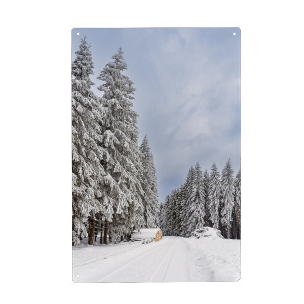 Holzbild "Holzstapel, Weg und Wald" artboxONE - Natur,Reise