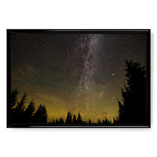 The Perseid meteors