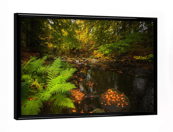 Poster mit schwarzem Rahmen "Herbst im Harz" artboxONE - Natur,Reise,Floral