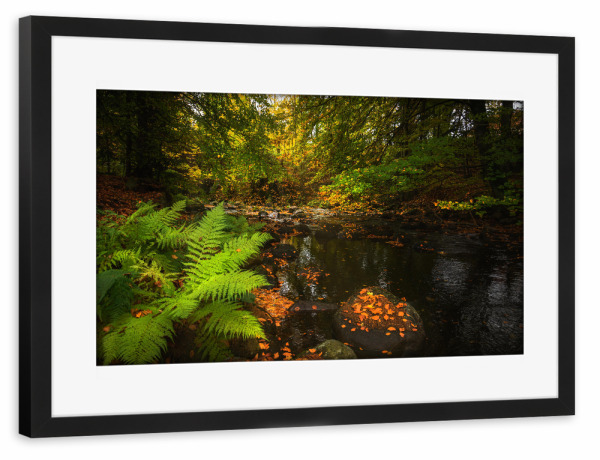 Poster mit Rahmen schwarz "Herbst im Harz" artboxONE - Natur,Reise,Floral