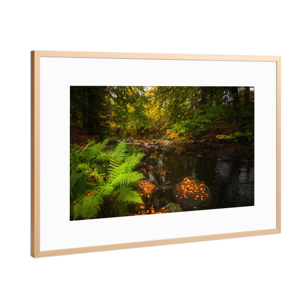 Poster mit Rahmen Kupfer "Herbst im Harz" artboxONE - Natur,Reise,Floral