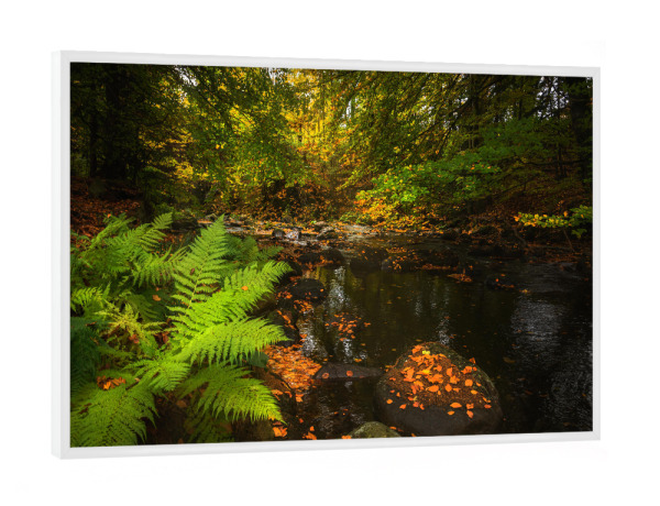 Poster mit weißem Rahmen "Herbst im Harz" artboxONE - Natur,Reise,Floral