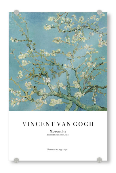 Acrylglasbild "Van Gogh - Die Mandelblüte" artboxONE - Natur,Floral