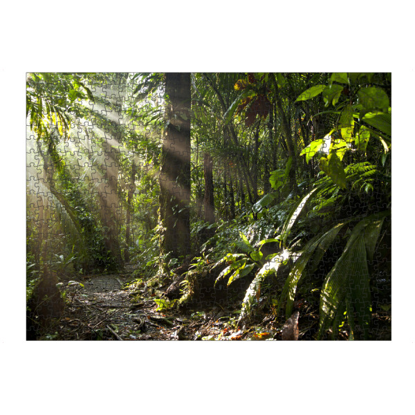 artboxONE Puzzle "Sonnenstrahlen im Dschungel" artboxONE - Natur - Costa rica,Mittelamerika,Urwald,Sonne,Strahlen,Dschungel - Bild costa rica