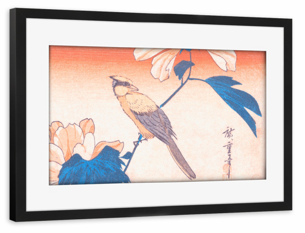 Poster mit Rahmen schwarz "Hibiscus Mutabilis und Jay" artboxONE - Natur,Floral,Tiere,Liebe