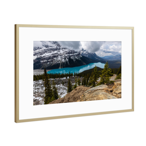 Poster mit Rahmen Gold "Der Lake Peyto in Kanada" artboxONE - Natur,Reise - Rocky mountains,Kanada,Lake peyto,Berge,Bergsee,Landschaft,Natur,Banff