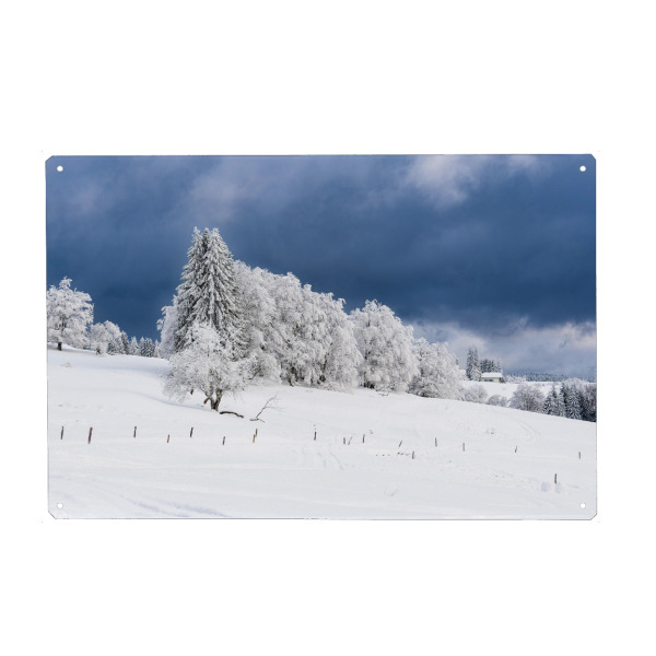 Holzbild "Wolken, Bäume, Zaun und Schnee" artboxONE - Natur,Reise