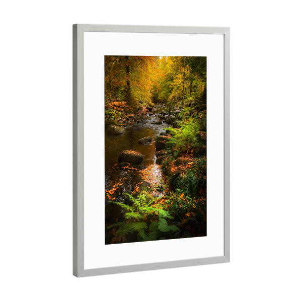 Poster mit Rahmen Silber "Bunter Harz" artboxONE - Natur,Reise,Floral