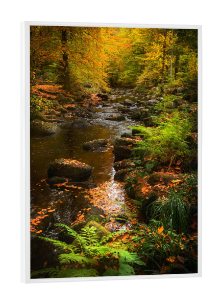 Poster mit weißem Rahmen "Bunter Harz" artboxONE - Natur,Reise,Floral
